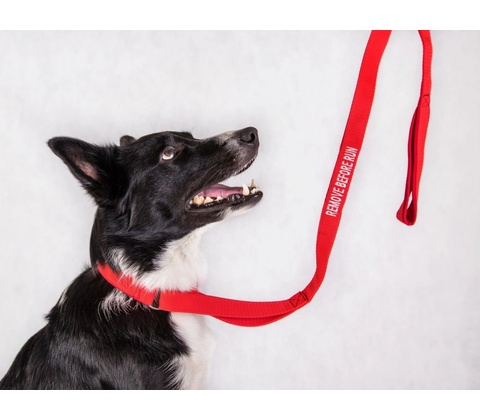 Agility vodítko REMOVE BEFORE RUN