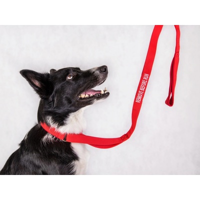 Agility vodítko REMOVE BEFORE RUN