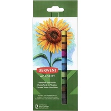 DERWENT Pastelové křídy Academy 12 různých barev 84129
