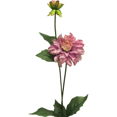 Jiřinka - Dahlia Mini spray fialová 70cm