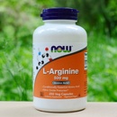 Doplňky stravy Now Foods L-Arginin 500 mg 250 kapslí