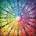 Magnolia - Puzzle Mandala of Life - 1 000 piese