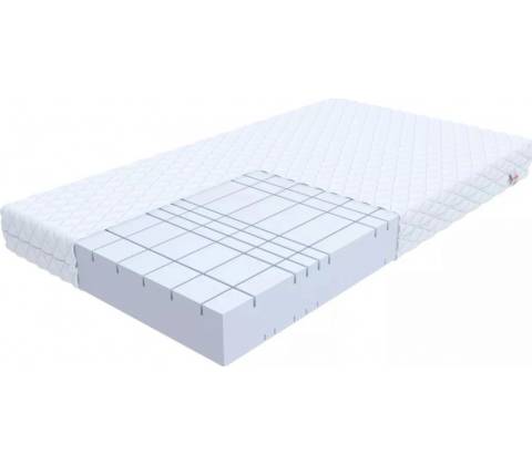 FDM GOYA MAX PLUS