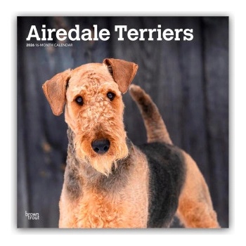 Browntrout Verlags GmbH Airedale Terrier 2026 - 16-Monatskalender