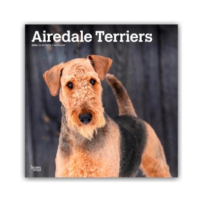 Browntrout Verlags GmbH Airedale Terrier 2026 - 16-Monatskalender | BrownTrout Publishers Inc