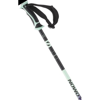 Salomon SHIVA 2023/24