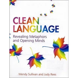 Clean Language | Wendy Sullivan (ISBN: 9781845901257)