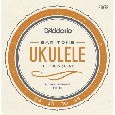 D'Addario EJ87B