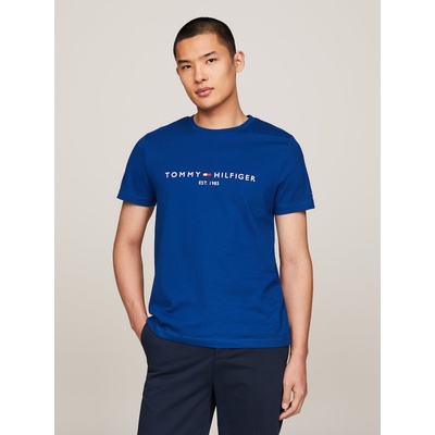 Tommy Hilfiger LOGO TEE pánské tričko MW0MW11797C5J