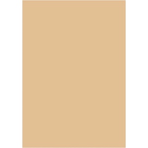  Цветен картон Papicolor A4 270 g/m2 10 л. Св. каф (A4 270)