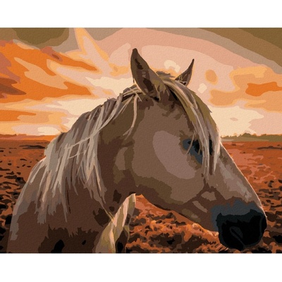 Zuty Malování podle čísel KŮŇ PŘI ZÁPADU SLUNCE
