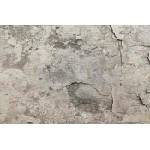 DIMEX ART Флизелинов фототапет сива бетонна текстура 375 x 250 см