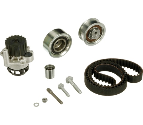 GATES KP25559XS1