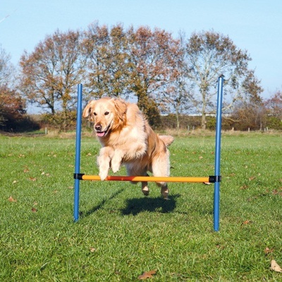 Trixie Agility preskakovacia prekážka 123 × 115 cm / Ø 3 cm (TRX3207)