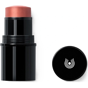 Dr. Hauschka Руж и червило 2 в 1, 01 Apricot, 6.1 g