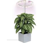 EMOS Led лампа с регулируема яркост за вътрешно отглеждане на растения grow led/8w/5v (ems1464)