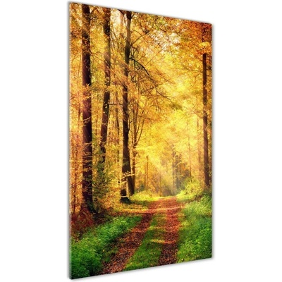 Vertikálny foto obraz fotografie na skle Les na jeseň 50x100 cm