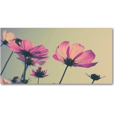 Foto obraz sklo tvrzené ružové kvety 100x50 cm