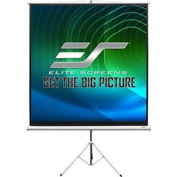 Elite Screens T113NWS1