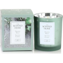 ASHLEIGH & BURWOOD THE SCENTED HOME FROSTED HOLLY 225 g