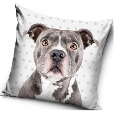 Carbotex Vankúš s Pitbullteriérom 40x40