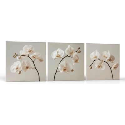Kvety Jemná orchidea |Zvýhodnená sada 3 obrazov Rozmery štvorec: 50x50