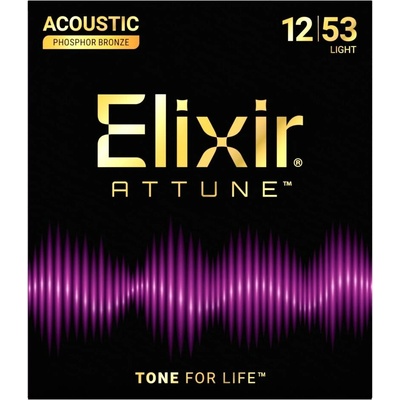 Elixir Attune Acoustic 21052