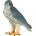 Mojo Фигура Mojo Animal Planet - Сокол скитник (381056)