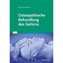 Osteopathische Behandlung des Gehirns