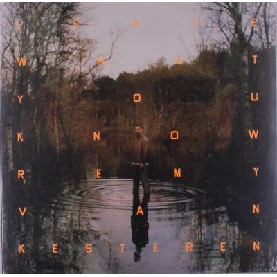 Remy Van Kesteren - Leave What You Know (LP) (8717931352116)