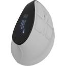 NATEC Euphonie Pro NMY-2378