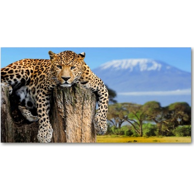 Fotoobraz na skle Leopart na kmeni 100x50 cm