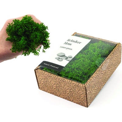 KreaBox - Prírodno zelený lišajník