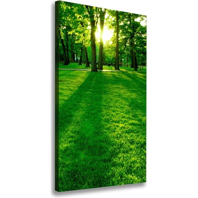 Vertikálny foto obraz na plátne Slnko v parku 50x100 cm