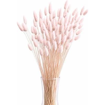 Sušený lagurus (králičí ocásek) sepia rose 90g-95g