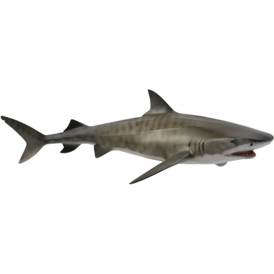 Collecta žralok tigrí