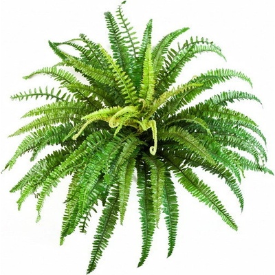 Umělá rostlina Bostonské kapradí DELUXE, 85cm