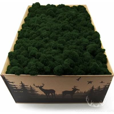 Lišajník mach vyčistený tmavá zelená 4kg FIN