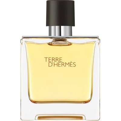 Hermès Terre D Hermès parfumovaná voda pánska 75 ml tester