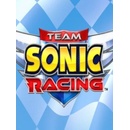 Team Sonic Racing
