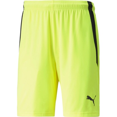 Puma TEAM LIGA SHORTS