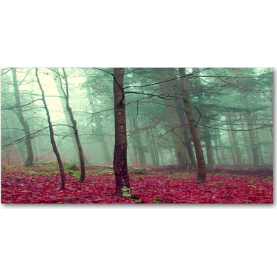 Foto obraz fotografie na skle jesenné lístie 100x50 cm