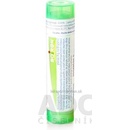 Iris Versicolor gra.1 x 4 g 5CH