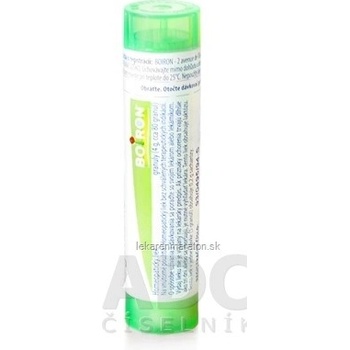 Iris Versicolor gra.1 x 4 g 5CH