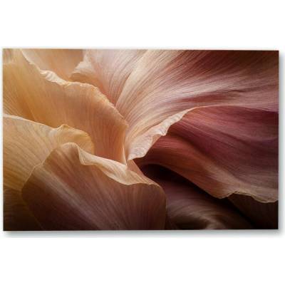 Plakát – Detail okvětních lístků v teplých tónech 135 × 90 cm Bez rámu Ne Bez rámu