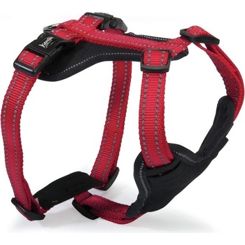 CAMON POSTROJ PRO PSY