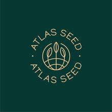 Atlas Seed Purple Punch semena neobsahují THC 5 ks