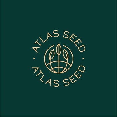 Atlas Seed Purple Punch semena neobsahují THC 5 ks