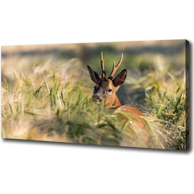 Foto obraz na plátne do obývačky Jeleň na poli 100x50 cm