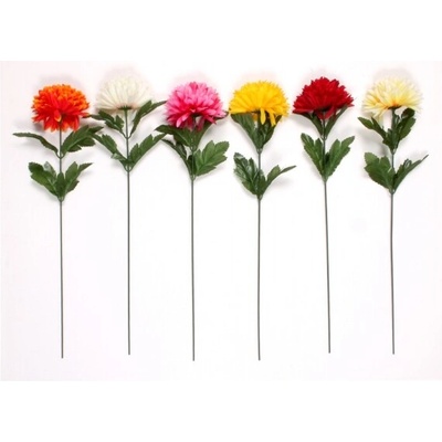 Nohel Garden Kvetina CHRYZANTÉMA KVEŤ JESEŇ X1 40cm